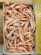 SCAMPI LABADIE 30-40 9KG(3KGX3KG) IRLANDA GLASS.0%
