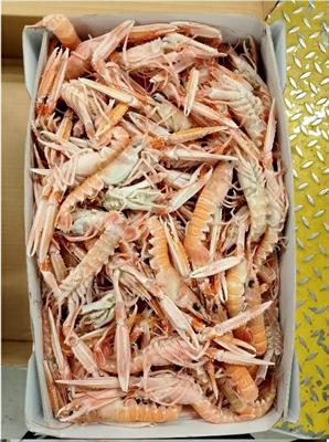 SCAMPI LABADIE 30-40 9KG(3KGX3KG) IRLANDA GLASS.0%