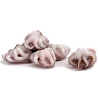 POLIPETTI PULITI 20/40 1KG(800G)X6 BUSTA - 20% IQF INDIA