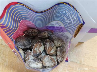 VONGOLE VERACI CON GUSCIO IQF 40/60 1KGX6 - KOREA 0%