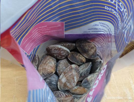 VONGOLE VERACI CON GUSCIO IQF 60/80 1KGX6 - KOREA 0%