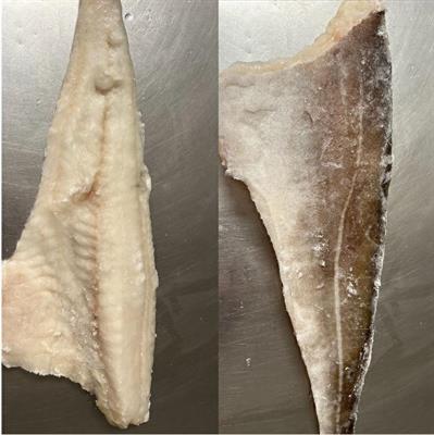 BACCALA' FILETTI 1000/UP PESO PIENO 11KG - GLASS.0% (MERLUZZO NORDICO)