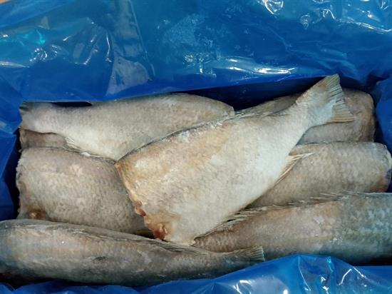 PESCE IMPERATORE HG 3/5KG 22KG - GLASS.10% YEMEN (s.testa/evis./squam.)