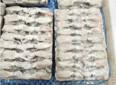 CALAMARI PUNTILLA 3/5 CM BLOCCO 1KG(900G)X10 - GLASS.10% FAO61