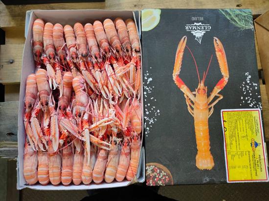 SCAMPI PORCUPINE 16-20 3KG IRLANDA GLASS.0%