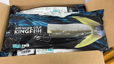 RICCIOLA FILETTO C/P S.VUOTO KG______ - SASHIMI HAMACHI 1,3KG/2,2KG